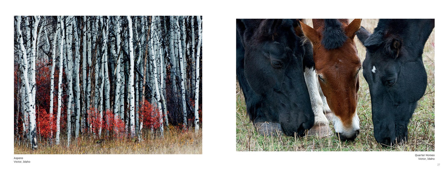 Yellowstone Country: Idaho, Wyoming & Montana