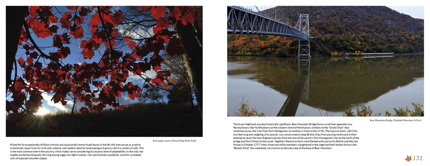 Hudson Valley Reflections: Illustrated Travel and Field Guide