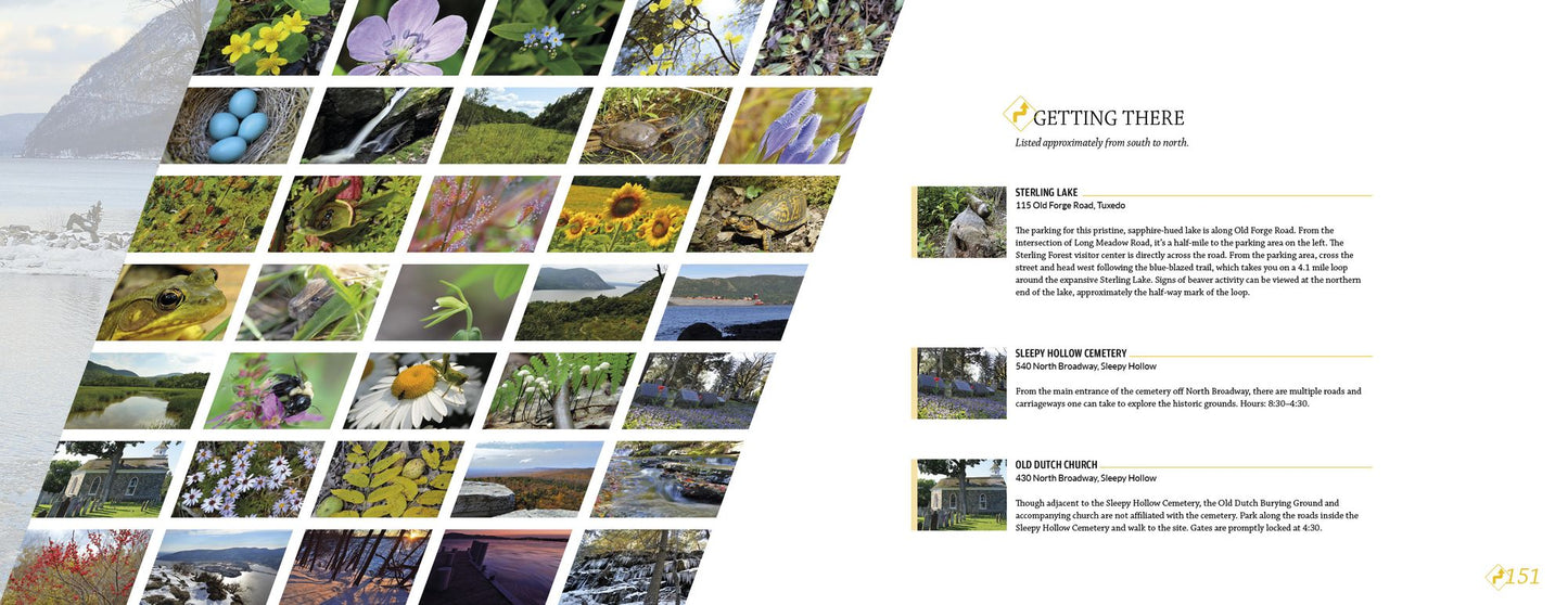 Hudson Valley Reflections: Illustrated Travel and Field Guide