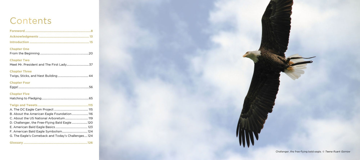 Mr. President and the First Lady: The DC Eagle CAM Project