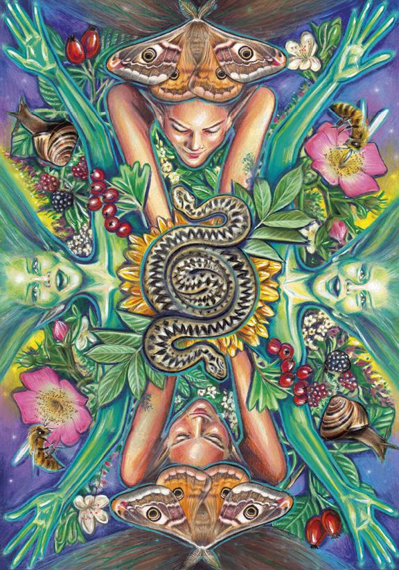 The Everyday Enchantment Tarot: Finding Magic in the Midst of Life