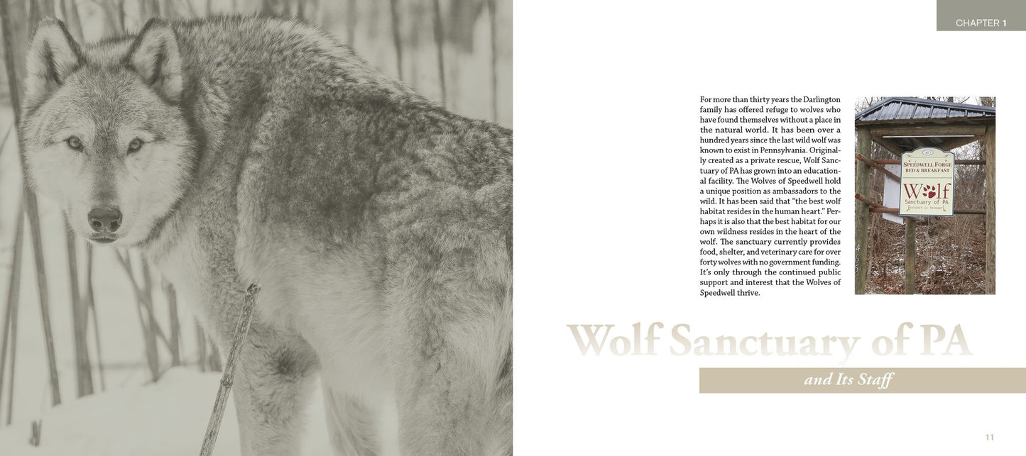 Wolf Sanctuary: The Wolves of Speedwell Forge