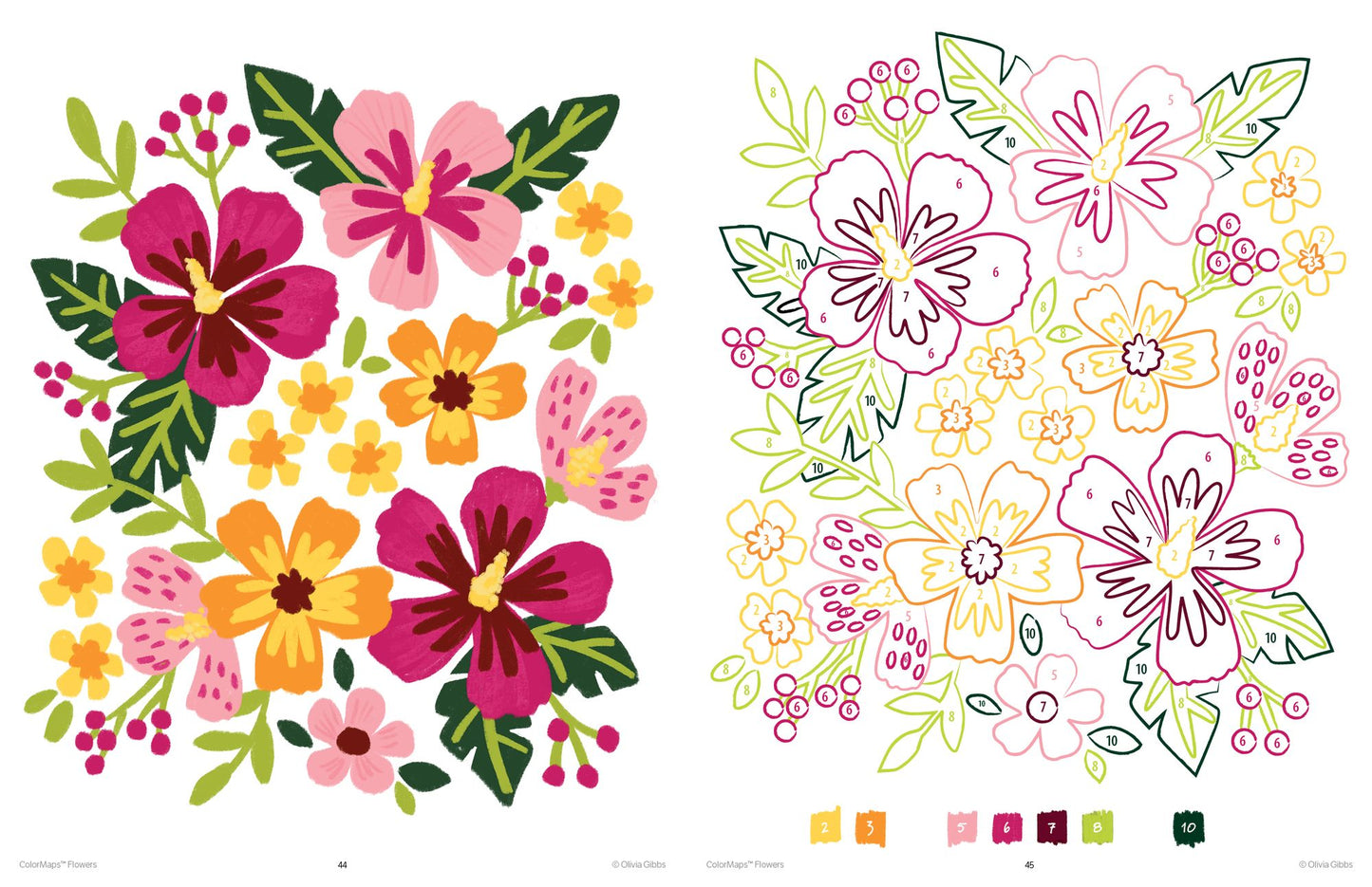 ColorMaps Flowers: Color-Coded Patterns Adult Coloring Book