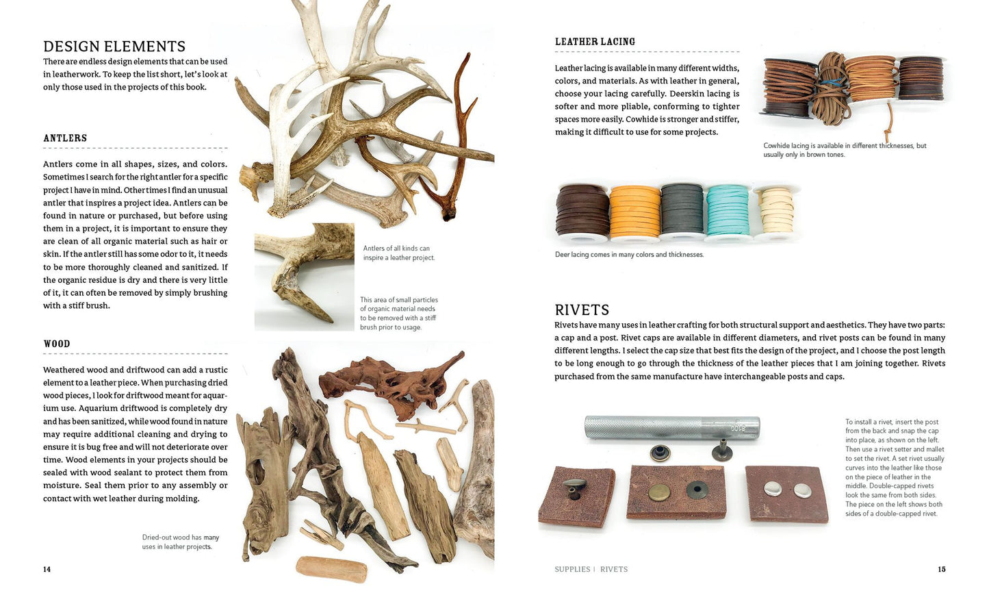 Leather Art: Molding, Shaping, and Color Techniques to Take Your Work Beyond the Ordinary