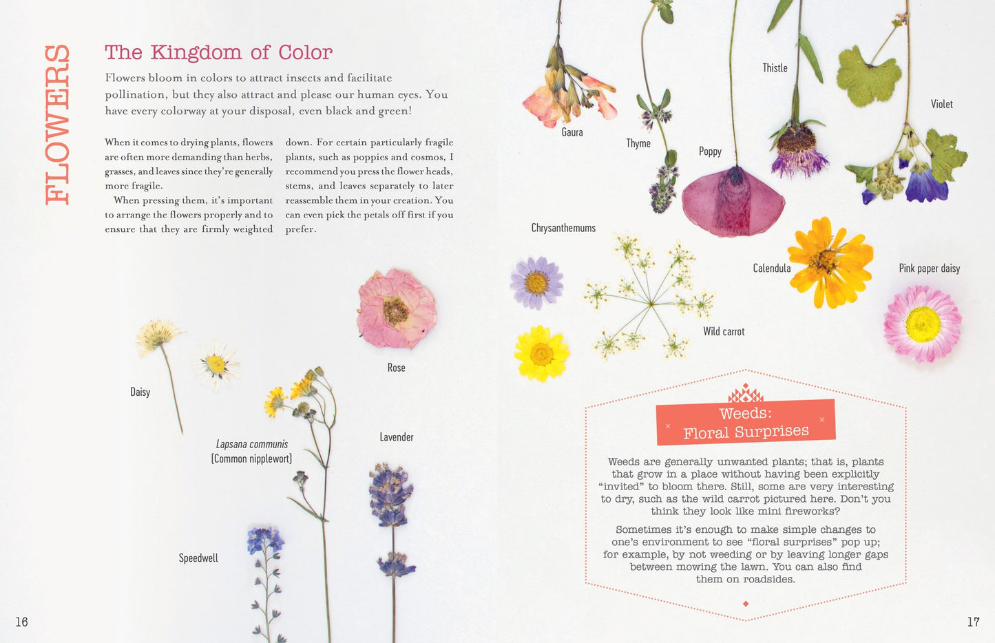 The Little Book of Flower Pressing: All the Basics Plus 11 Projects to Inspire You