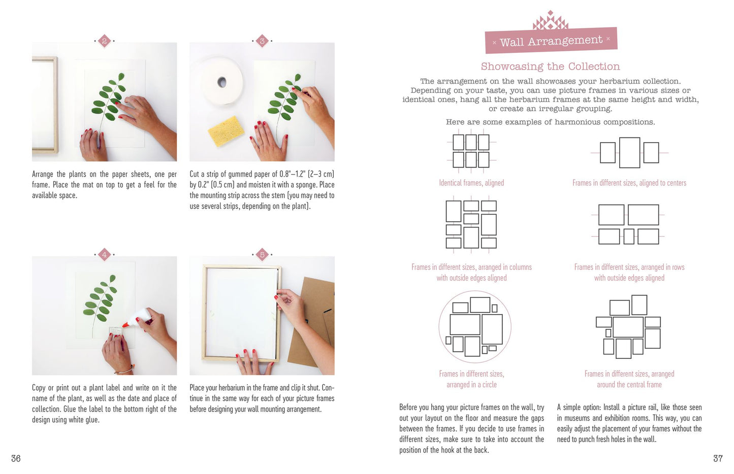 The Little Book of Flower Pressing: All the Basics Plus 11 Projects to Inspire You