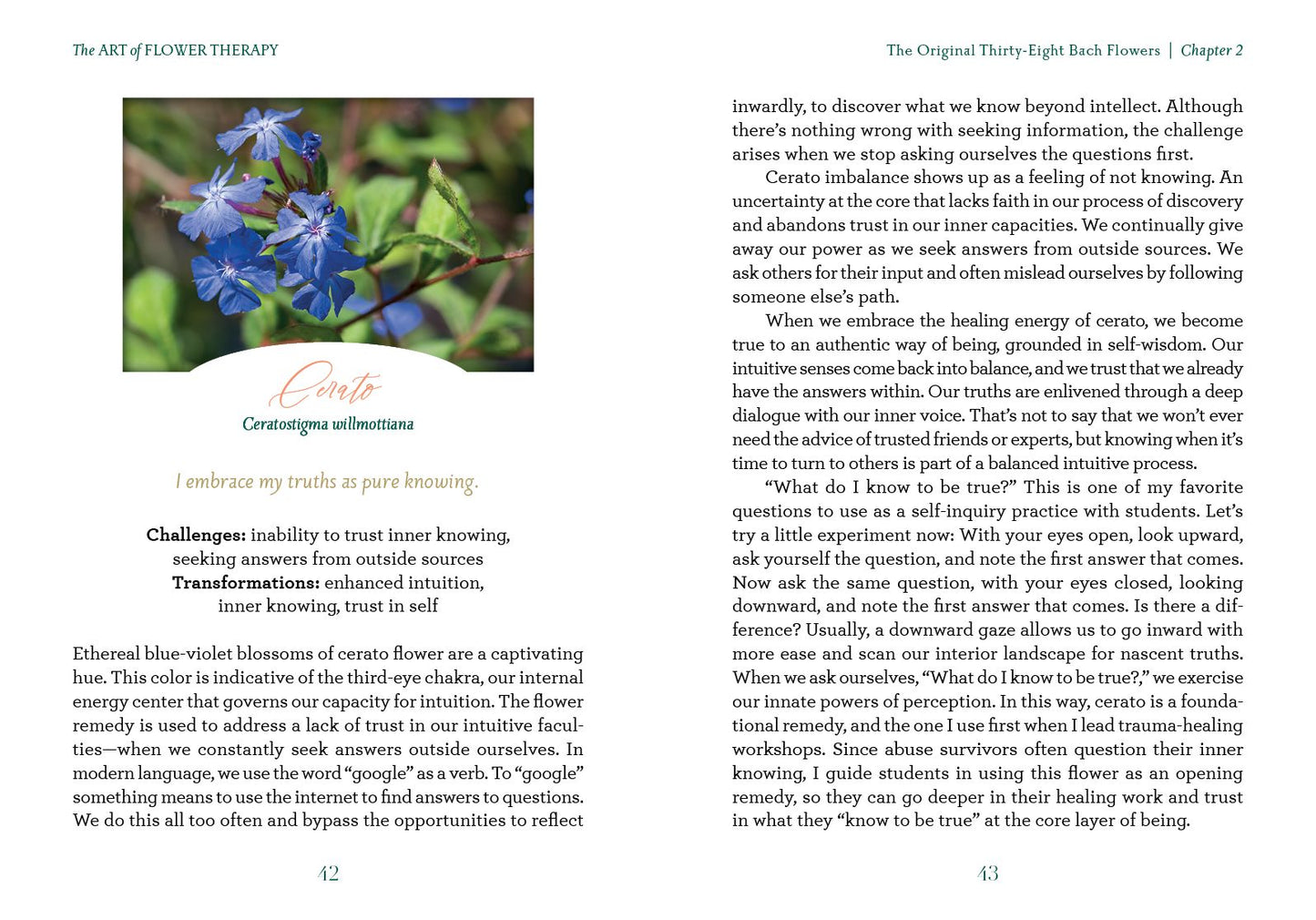 The Art of Flower Therapy: A Comprehensive Guide to Using the Energy of Flowers to Heal, Thrive, and Live a Vibrant Life