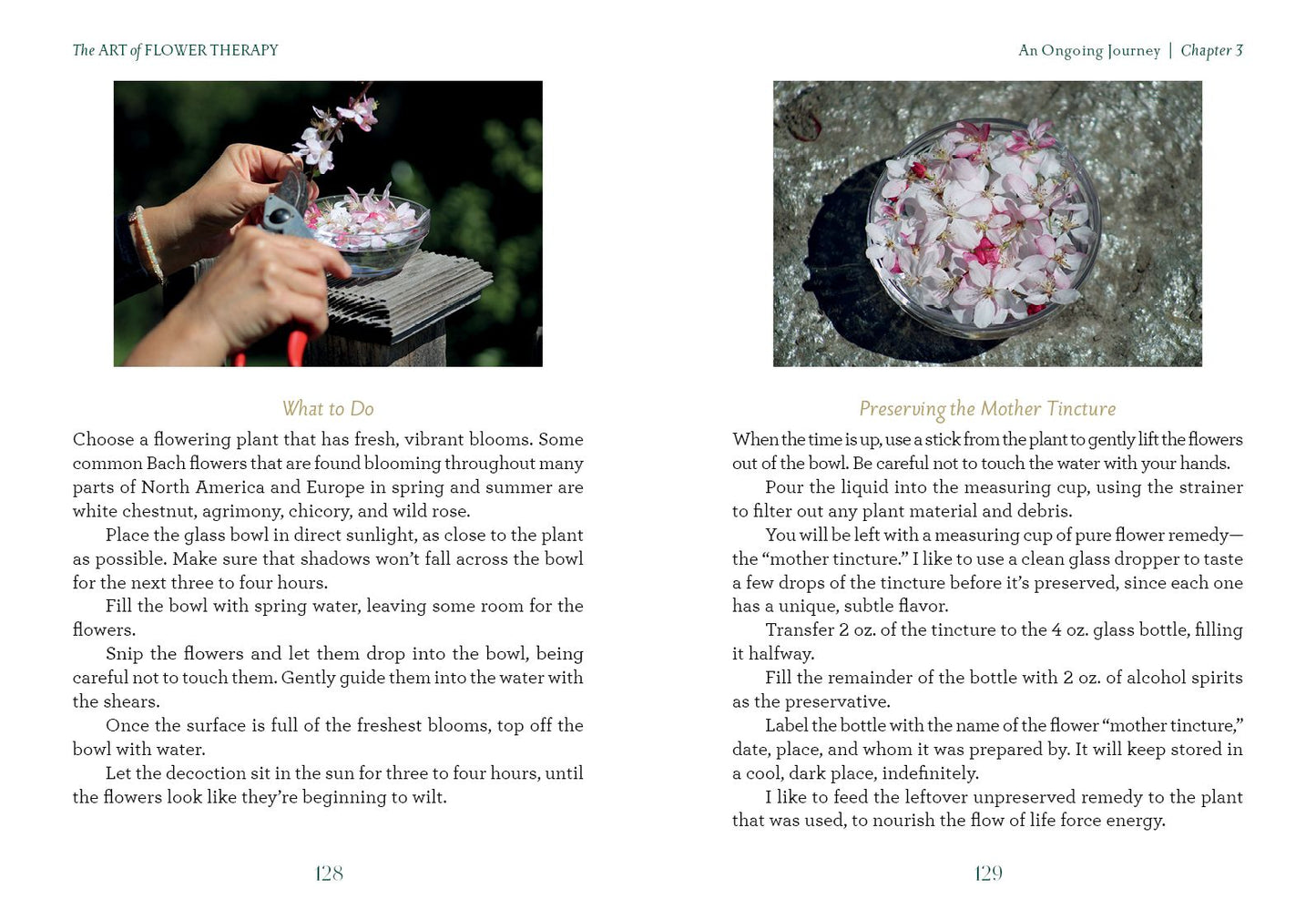 The Art of Flower Therapy: A Comprehensive Guide to Using the Energy of Flowers to Heal, Thrive, and Live a Vibrant Life