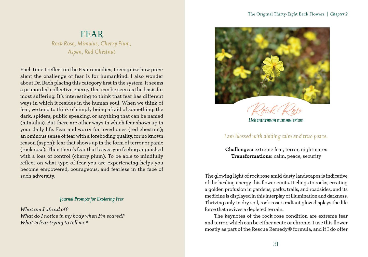The Art of Flower Therapy: A Comprehensive Guide to Using the Energy of Flowers to Heal, Thrive, and Live a Vibrant Life