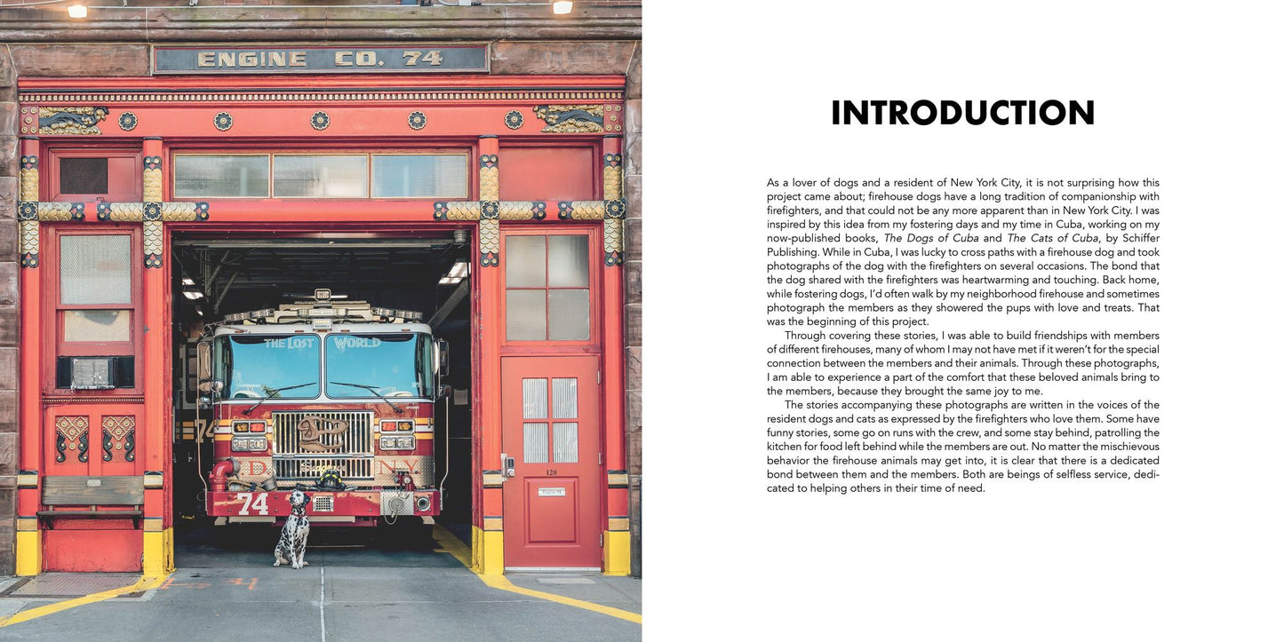 Paws of Firefighters: The Dogs & Other Animals of New York Firehouses