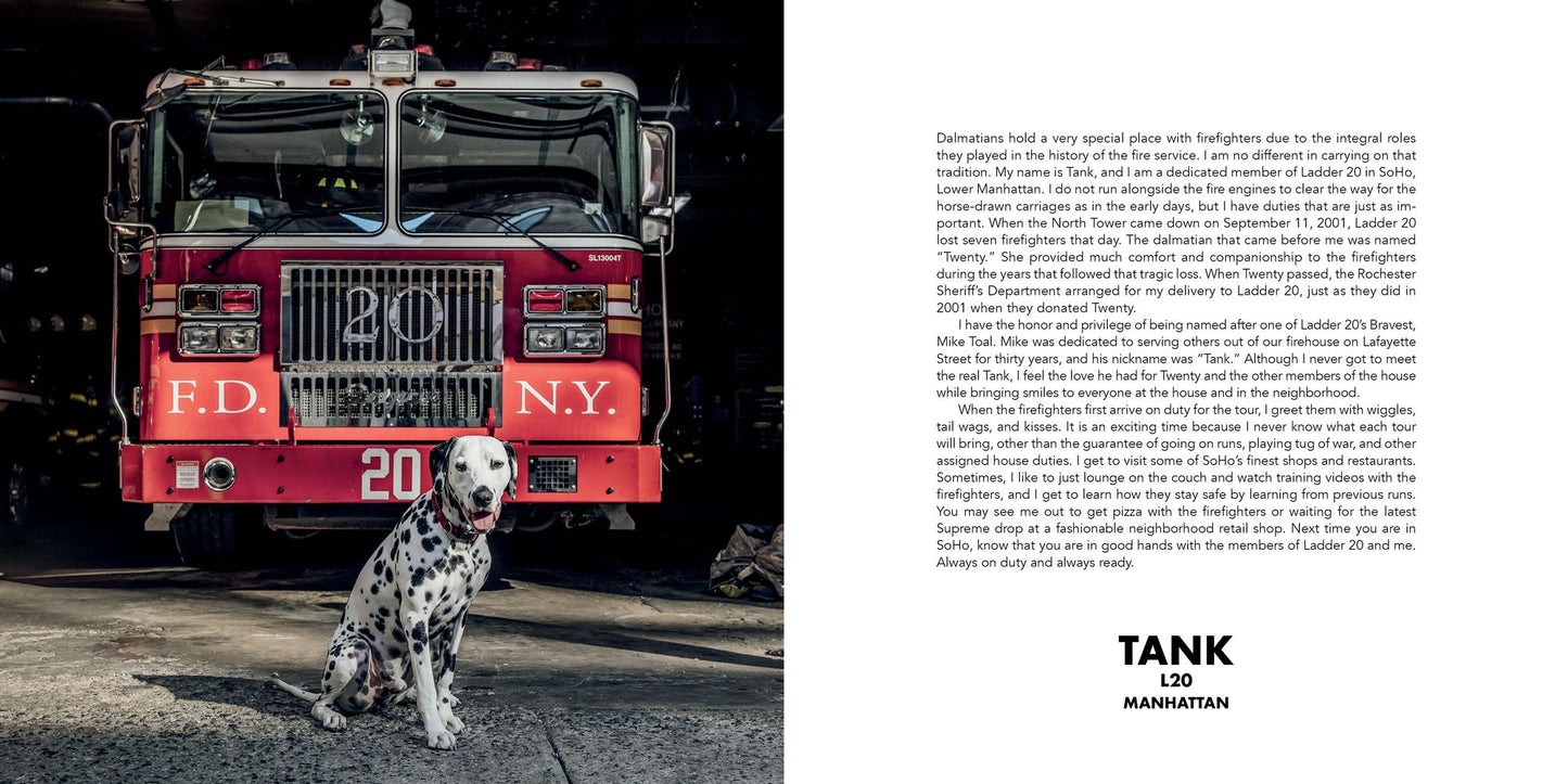 Paws of Firefighters: The Dogs & Other Animals of New York Firehouses