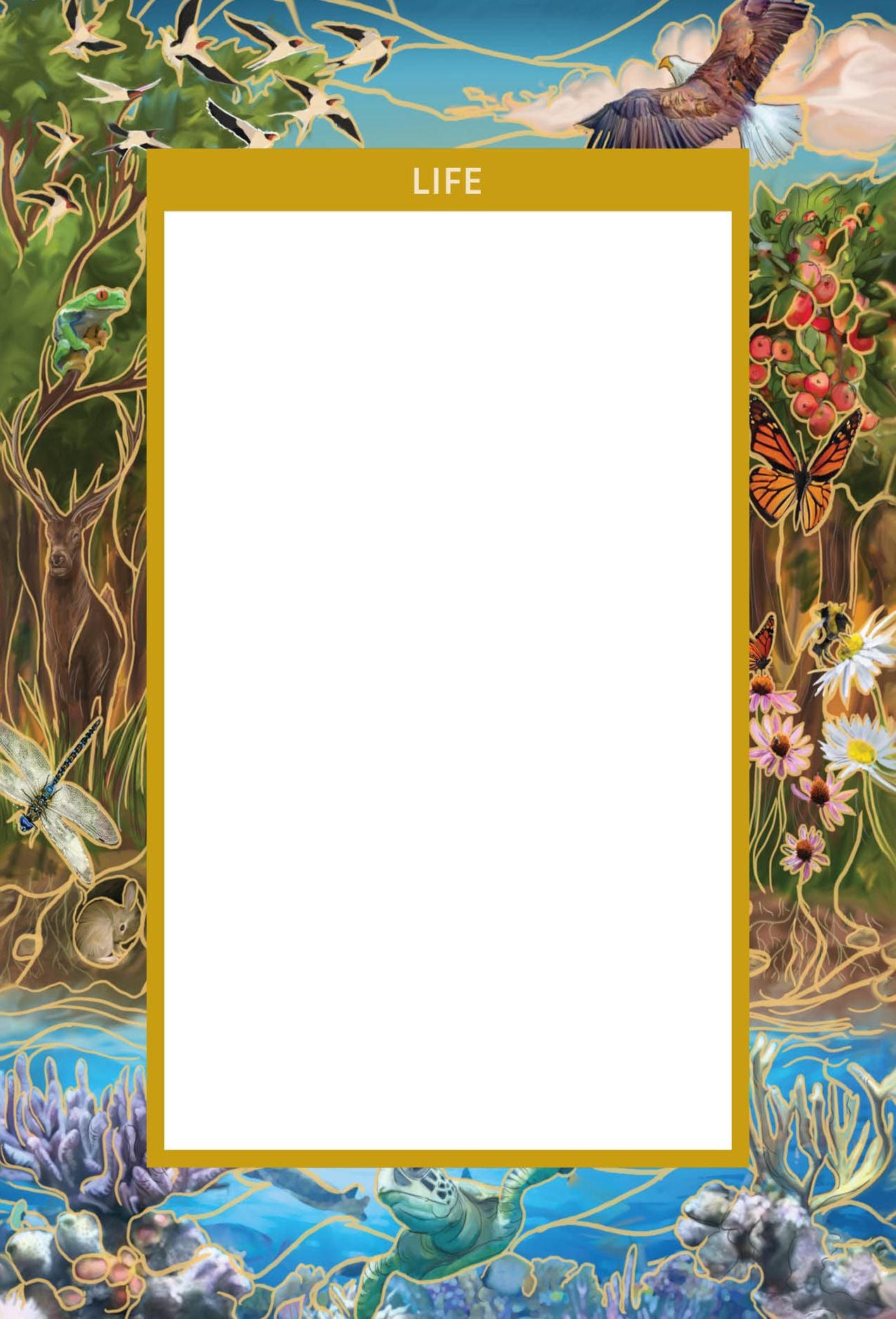 Frame This Oracle (Oracle Frames and Guidebook, Box Set): A Tool to Deepen Your Card Readings and Reframe Your Perspective