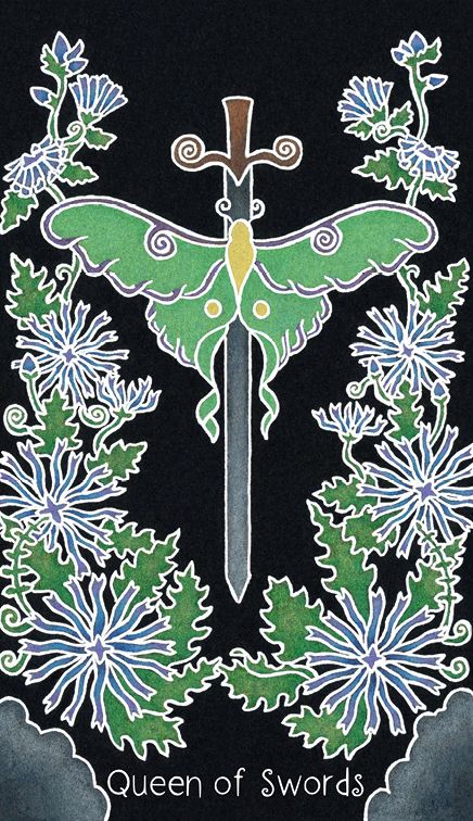 The Animystic Tarot (Tarot Deck and Guidebook, Box Set)