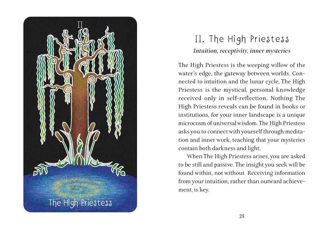 The Animystic Tarot (Tarot Deck and Guidebook, Box Set)
