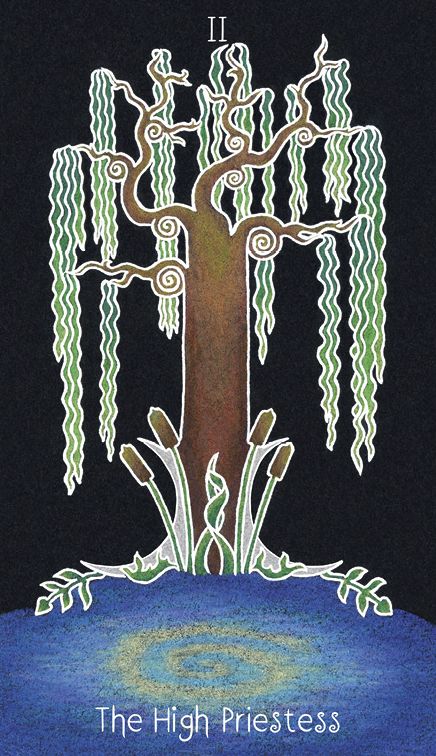 The Animystic Tarot (Tarot Deck and Guidebook, Box Set)