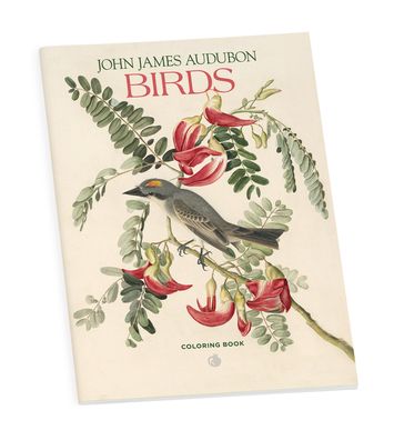John James Audubon Birds Color