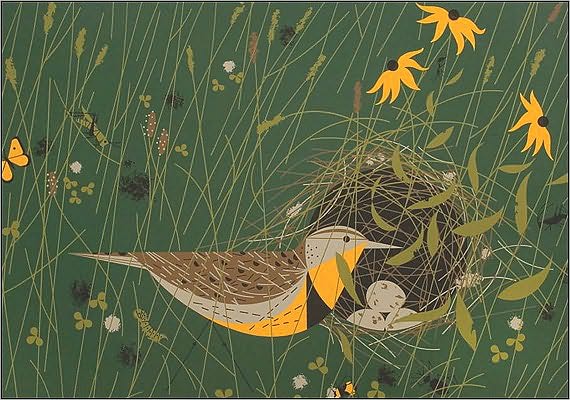 Notecards-Charley Harper-10pk [With Envelope]