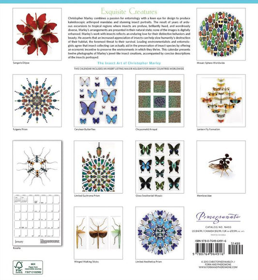 2014 Marley/Exquisite Creatures Wall Calendar