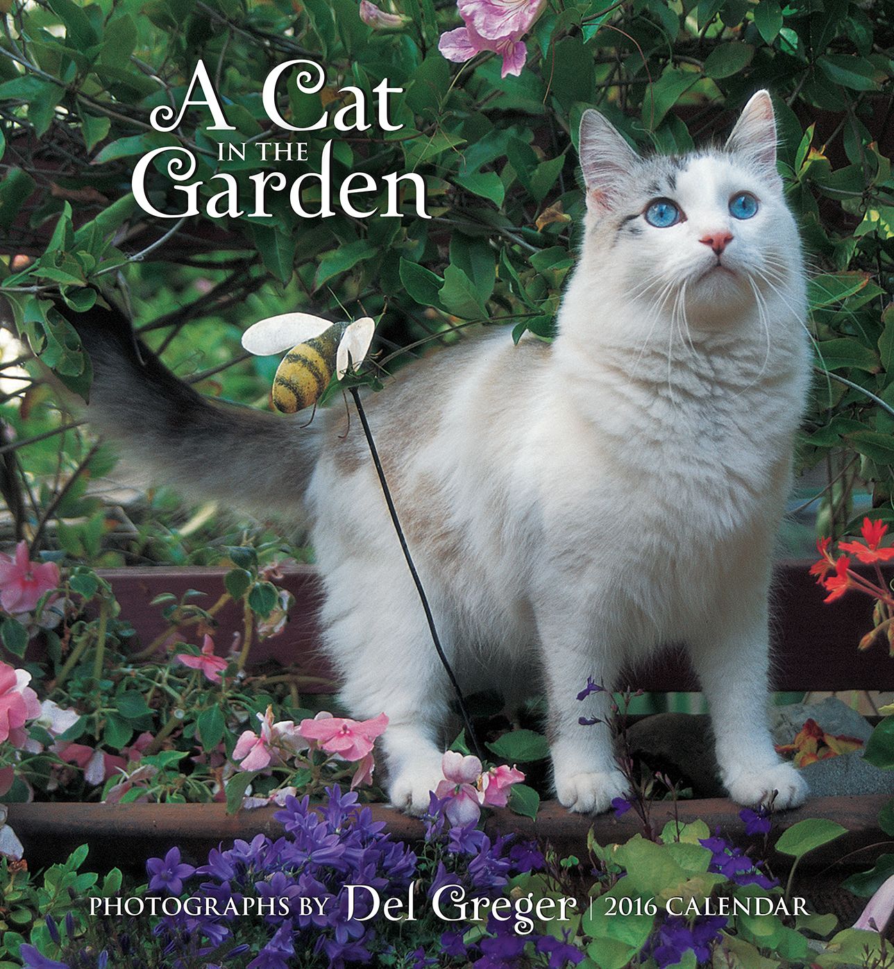 2016 A Cat In The Garden Wall Calendar