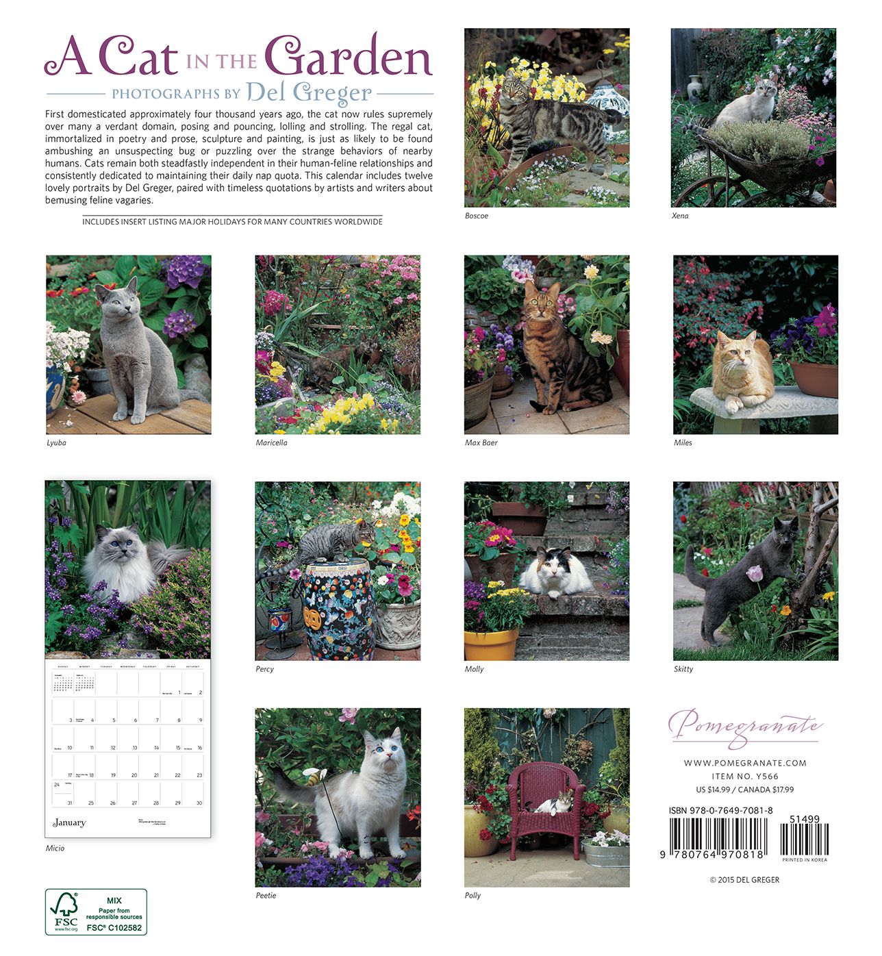 2016 A Cat In The Garden Wall Calendar