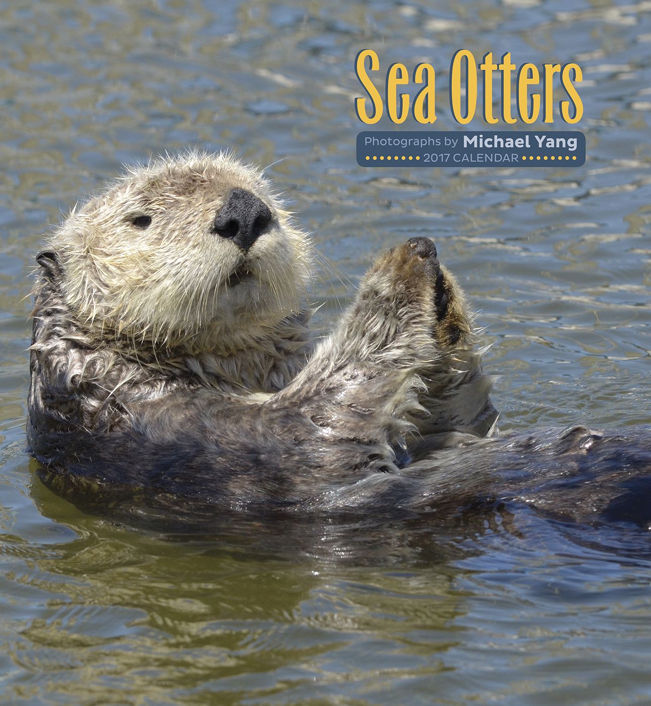 2017 Sea Otters Wall Calendar