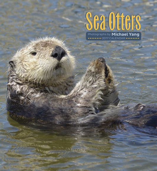 2017 Sea Otters Wall Calendar