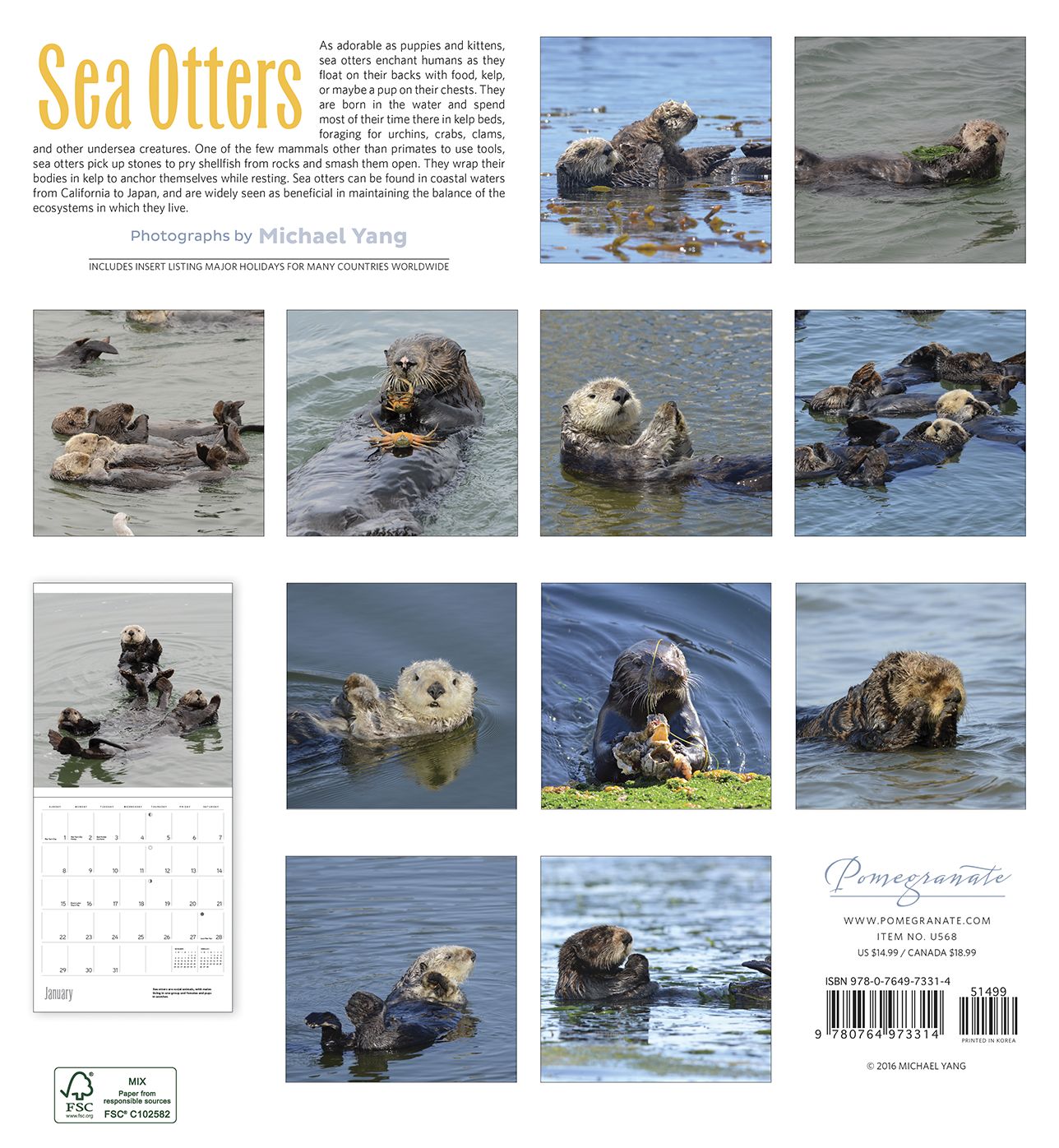 2017 Sea Otters Wall Calendar