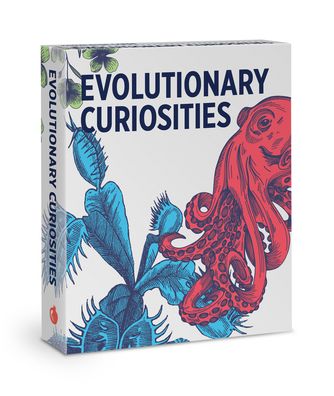 Evolutionary Curiosities Knowledge Cards