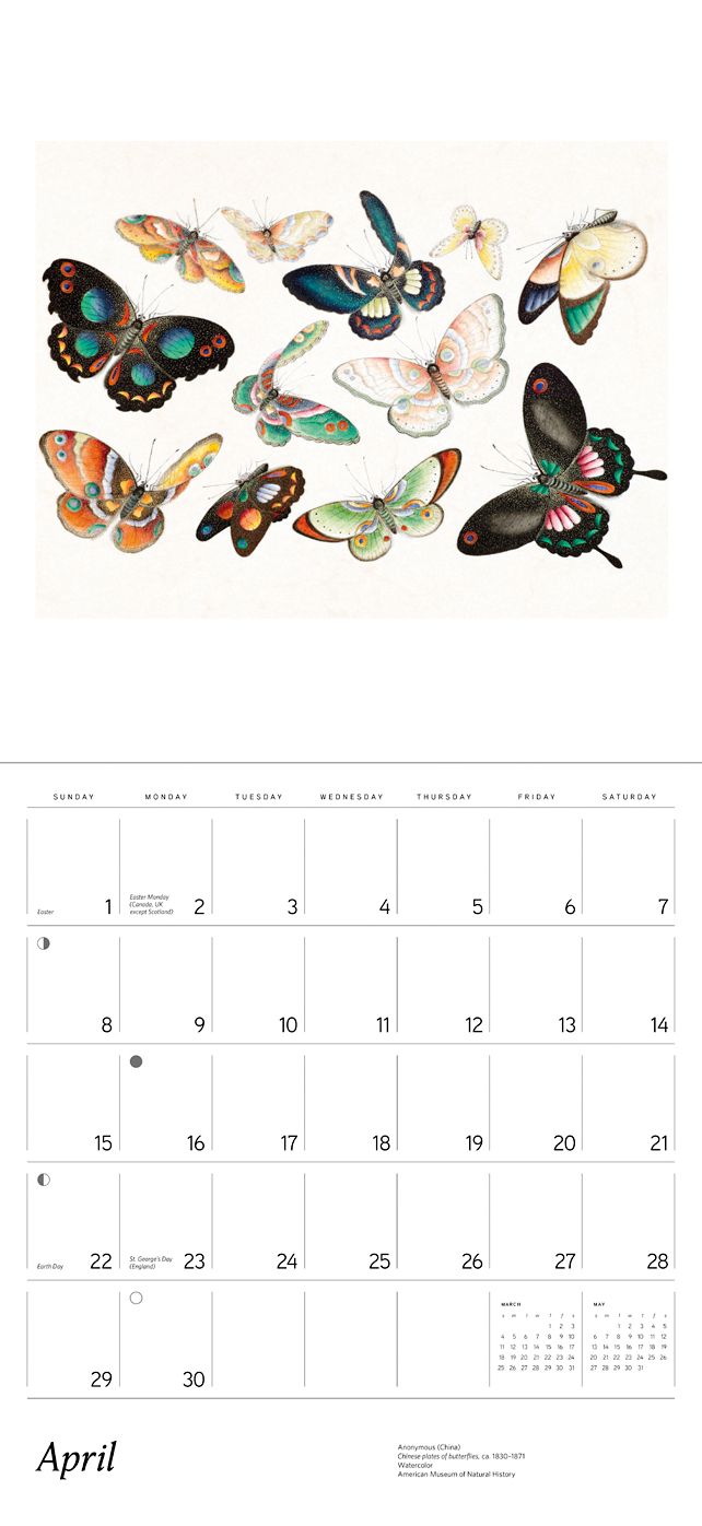 2018 Butterflies WALL CALENDAR