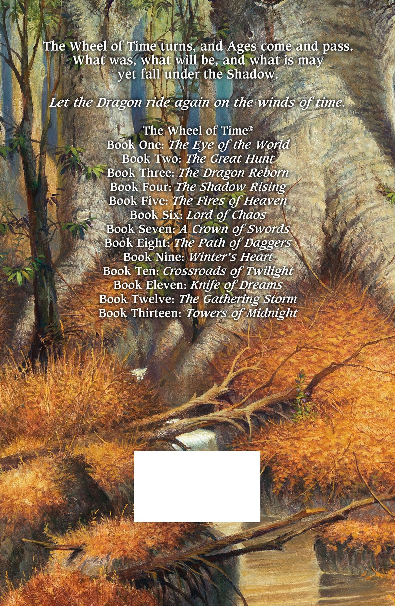 Towers of Midnight (Wheel of Time Series #13)