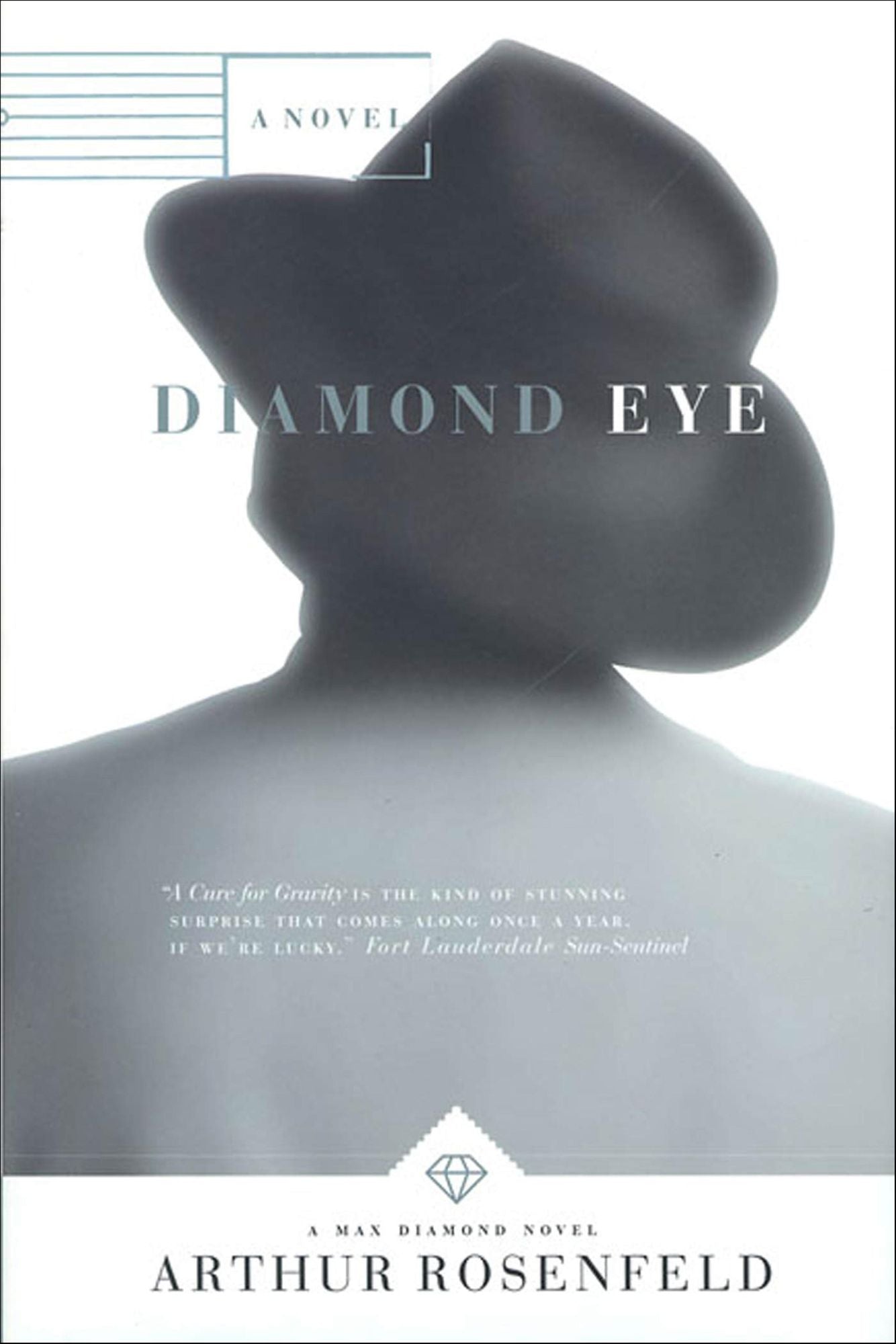 Diamond Eye: A Novel