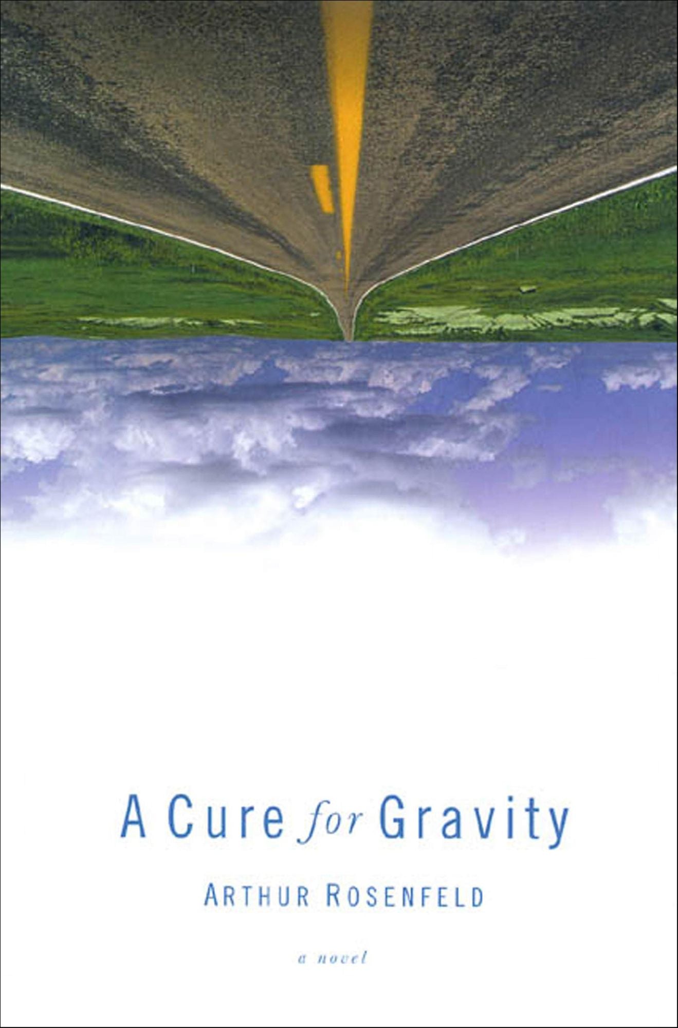 A Cure for Gravity: A Novel