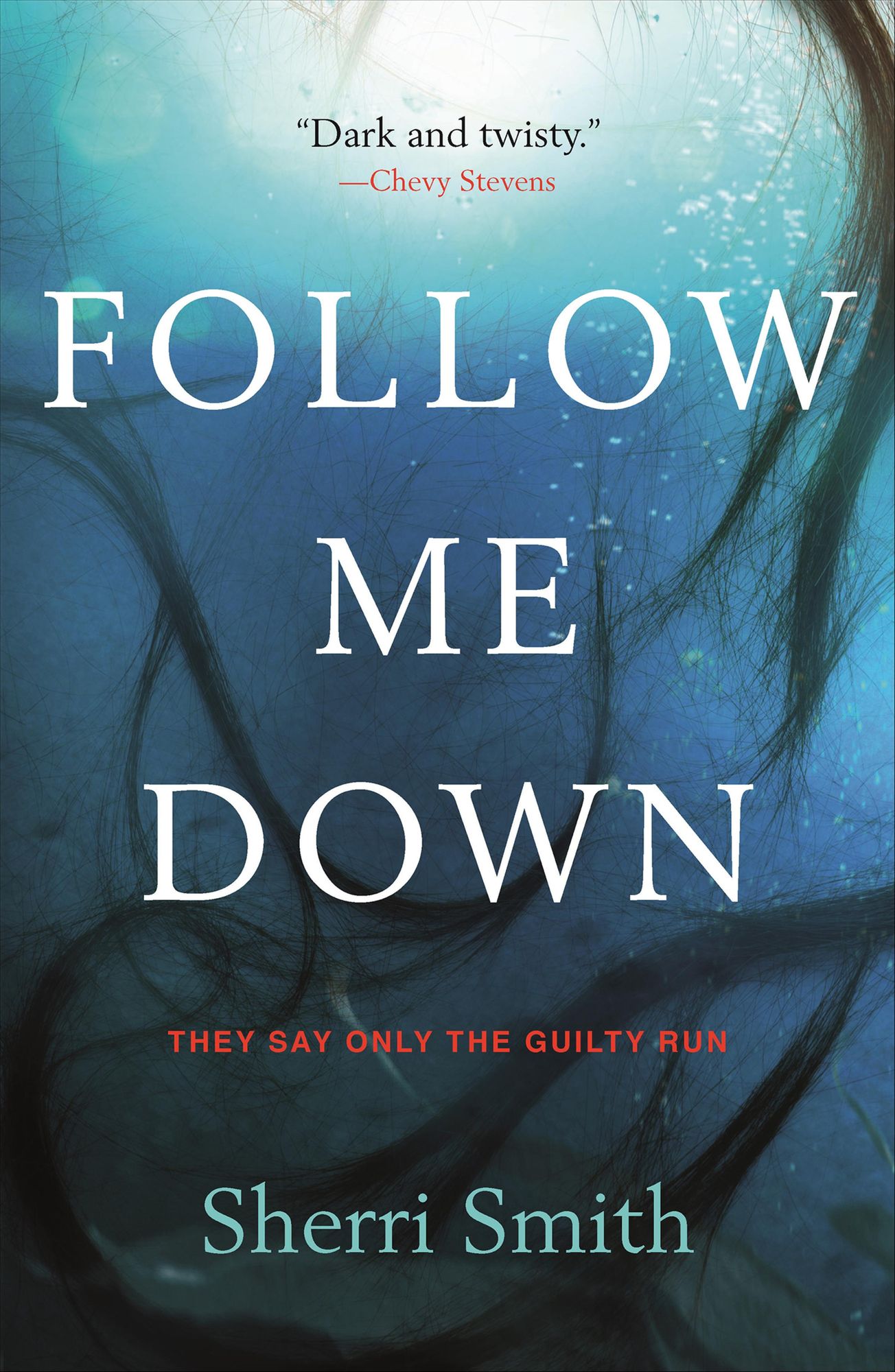 Follow Me Down: A Novel
