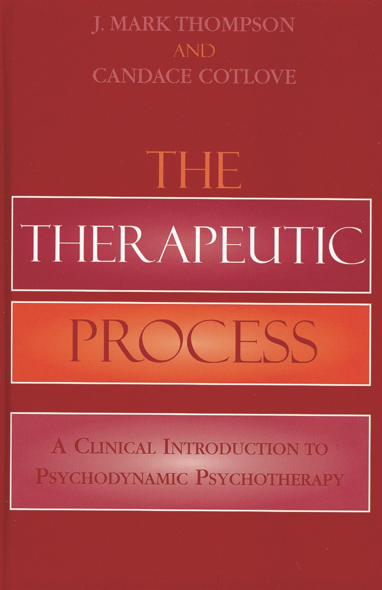 The Therapeutic Process: A Clinical Introduction to Psychodynamic Psychotherapy