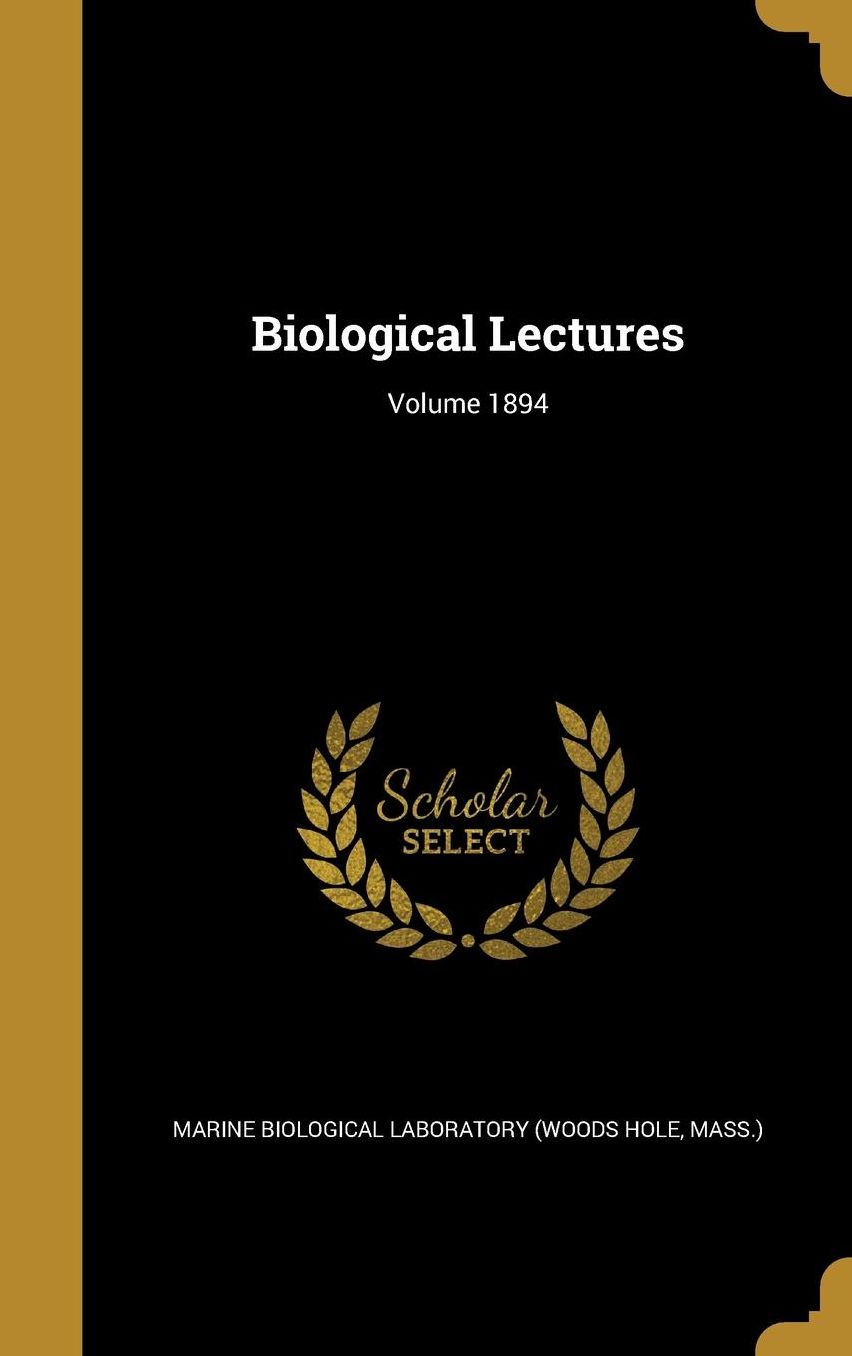 The Relational Origins of Prejudice: A Convergence of Psychoanalytic and Social Cognitive Perspectives