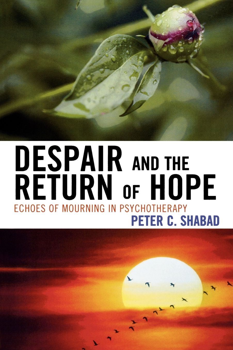 Despair And The Return Of Hope