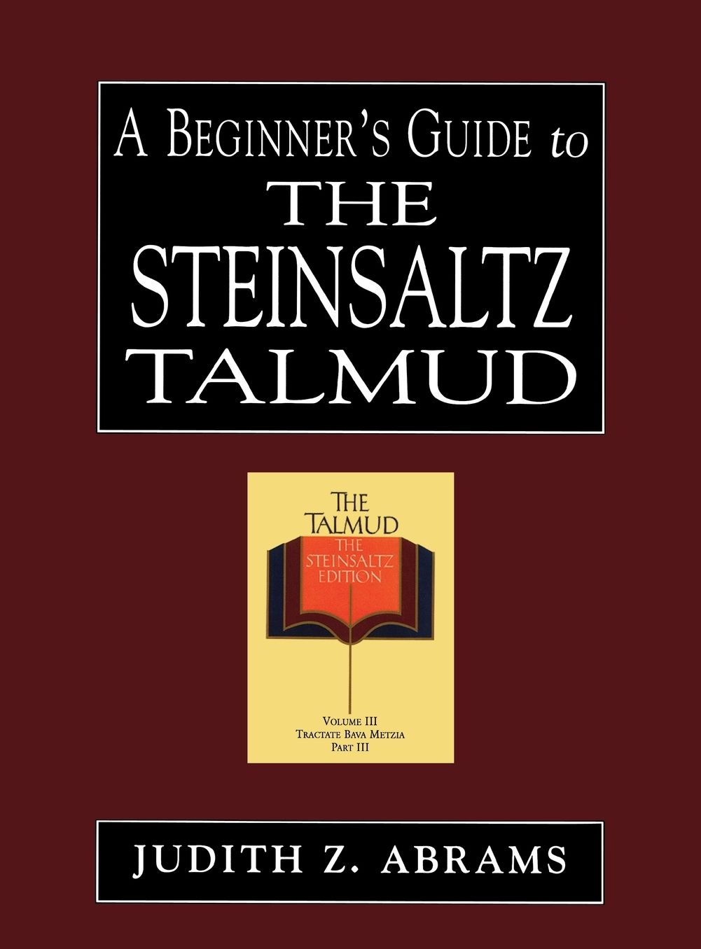 A Beginner's Guide to the Steinsaltz Talmud