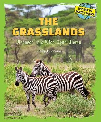 The Grasslands: Discover This Wide Open Biome