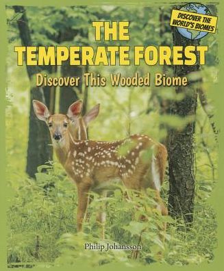 The Temperate Forest: Discover This Wooded Biome