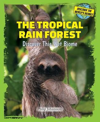 The Tropical Rain Forest: Discover This Wet Biome