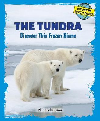 The Tundra: Discover This Frozen Biome