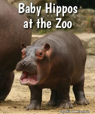 Baby Hippos at the Zoo