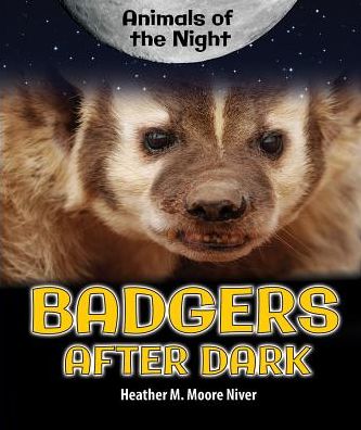 Badgers After Dark
