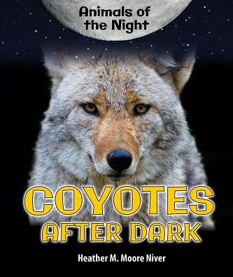Coyotes After Dark