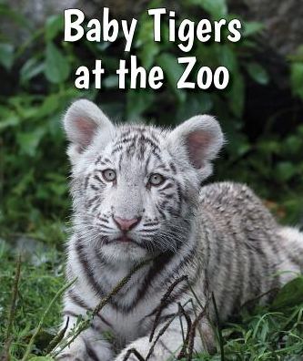 Baby Tigers at the Zoo