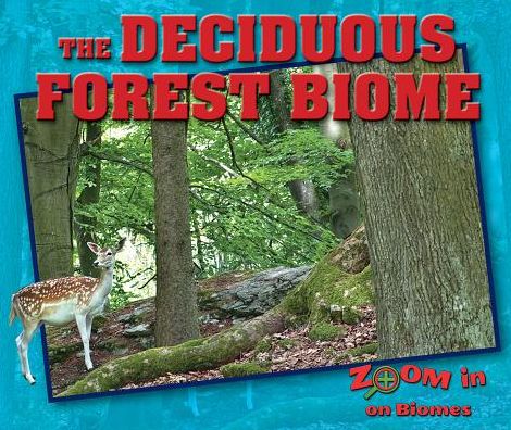 The Deciduous Forest Biome