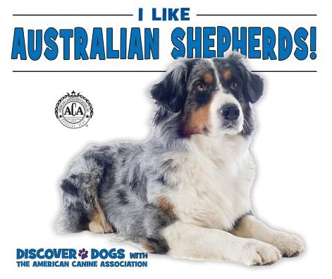 I Like Australian Shepherds!