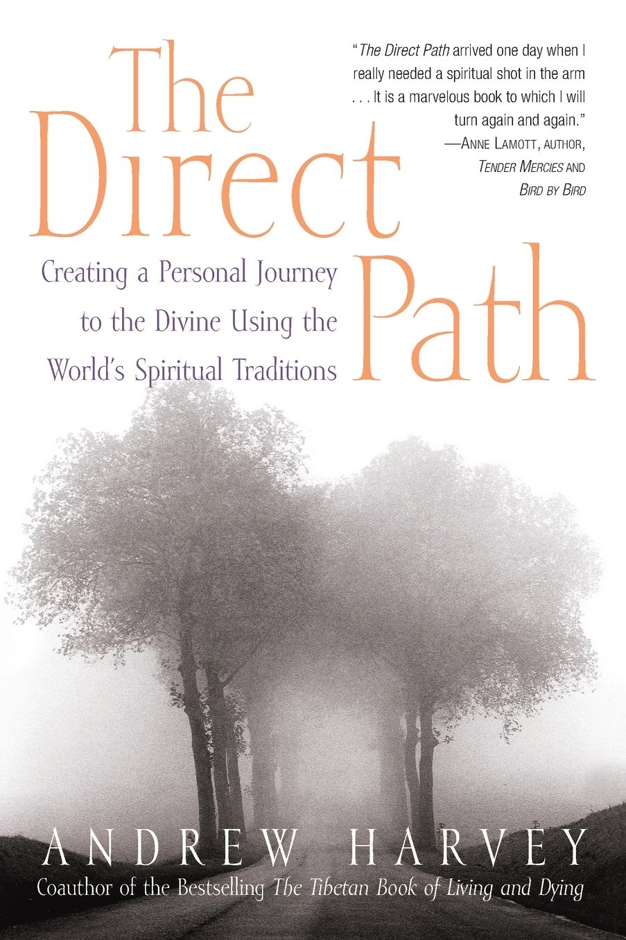 The Direct Path: Creating a Personal Journey to the Divine Using the World's Spiritual Traditions