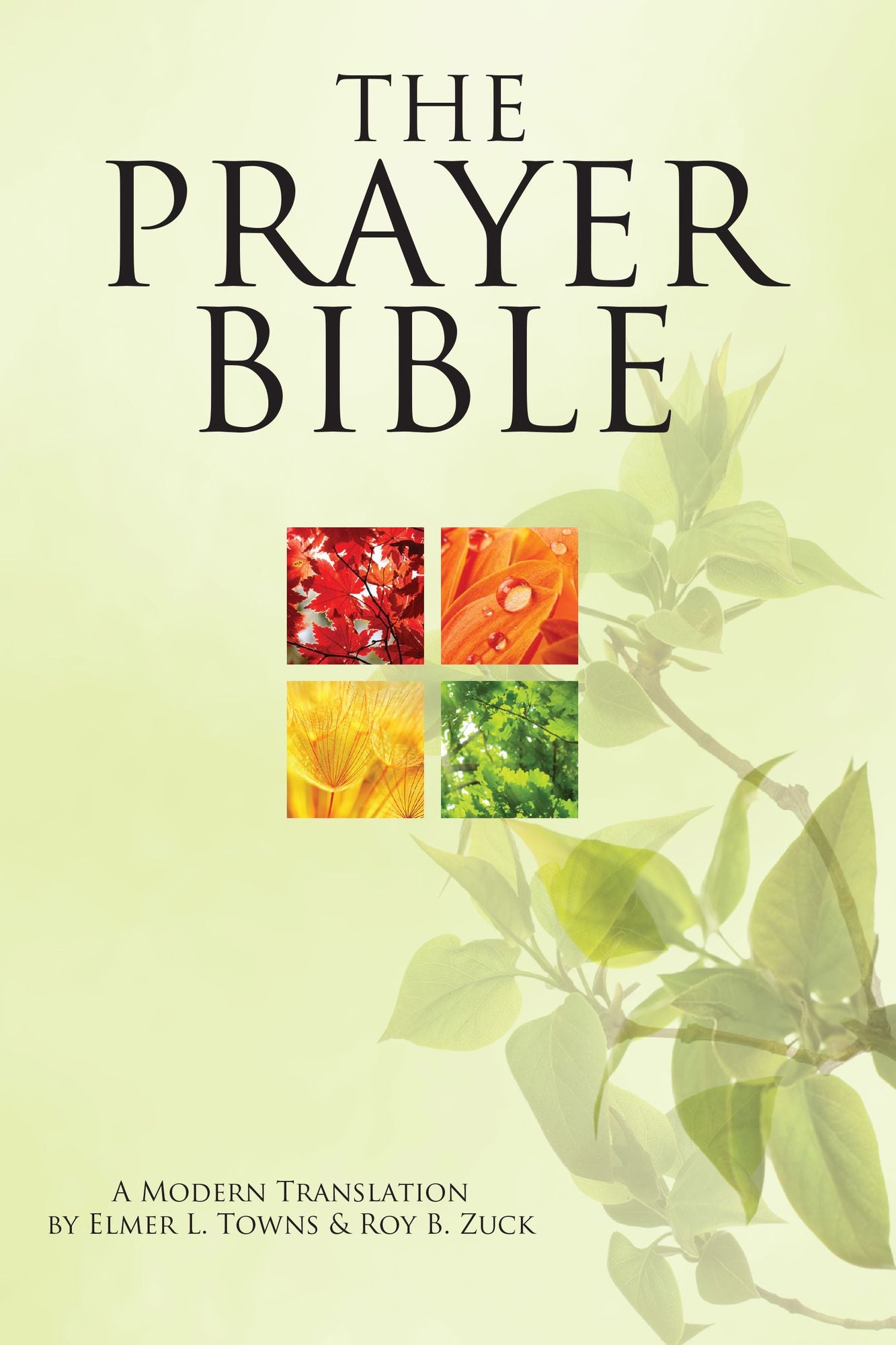 The Prayer Bible: A Modern Translation