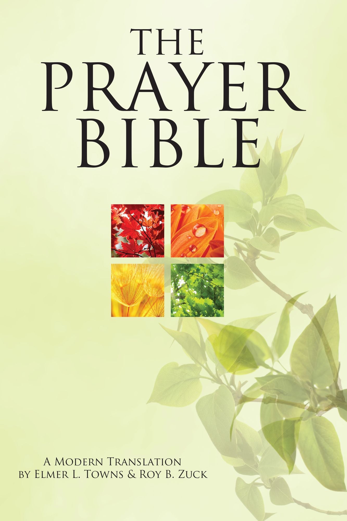 The Prayer Bible: A Modern Translation